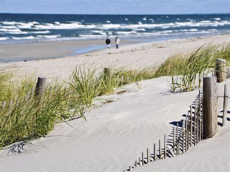 Cape Cod Beach 的图像结果