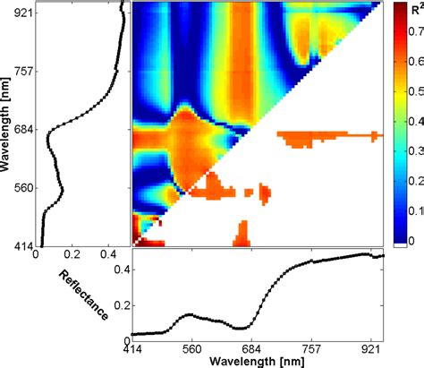 Field Imaging Spectroscopy of Beech Seedlings under Dryness Stress