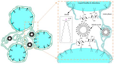Influence of Cellulose Nanofibers on the Behavior of Pickering ...