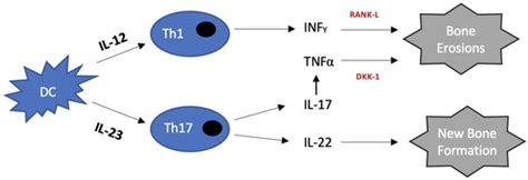 Targeted Therapies in Psoriatic Arthritis—An Update