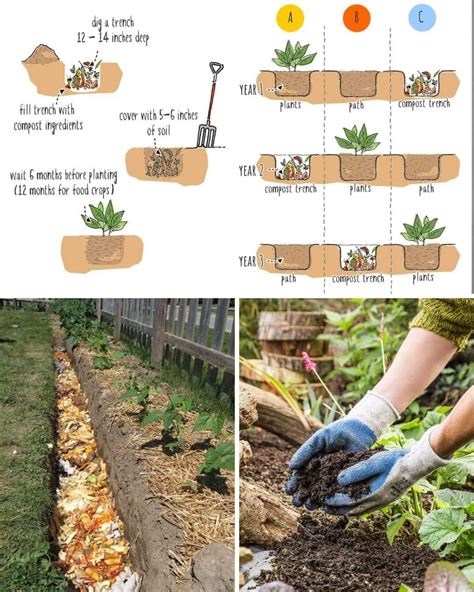 Image result for Compost Making Tutorial