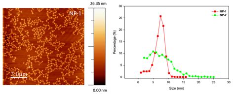A Nanoparticle Approach towards Morphology Controlled Organic ...