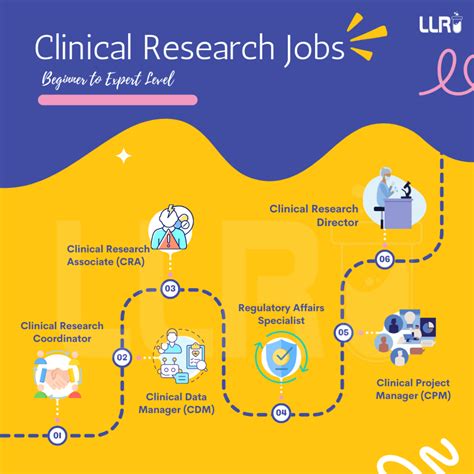 Clinical Research Job Description: Roles, Duties & More