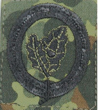 BW EKII (lone fighter) camouflage | Recon Company