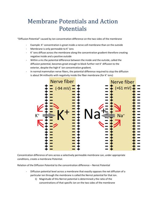 Image result for Diffusion Potentials