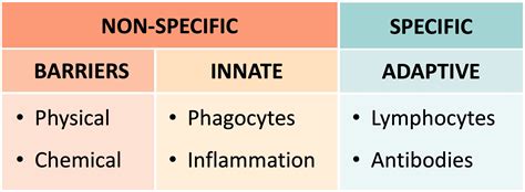 Image result for Human Defence Line Skin