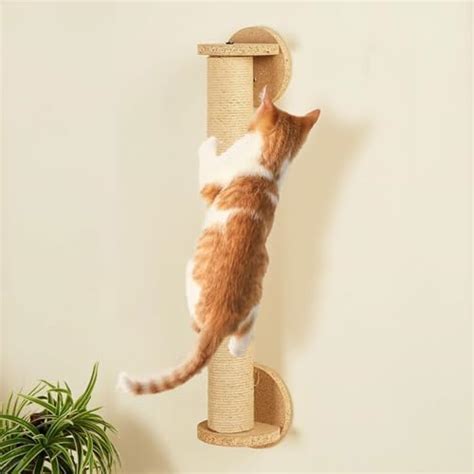 Amazon Basics Cat Scratching & Climbing Post | Wall Mounted | Mix'n ...