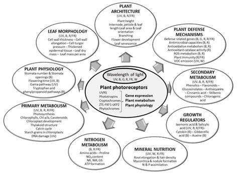 Horticulturae | Special Issue : Advanced Greenhouse Horticulture: New ...