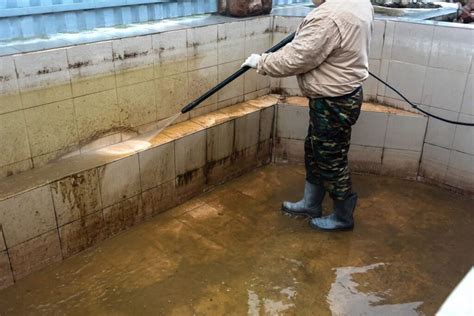 How to Clean Pool Tile Build Up 的图像结果