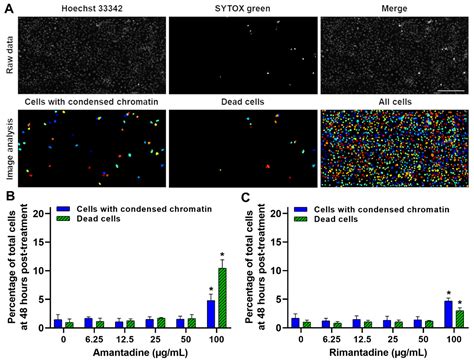 In Vitro Inhibition of Zika Virus Replication with Amantadine and ...