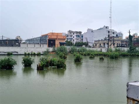 Free photo :Population pressure behind disappearance of water bodies ...