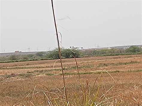 Agricultural/Farm Land for Sale in Sohna Palwal Road Sohna Palwal Road ...