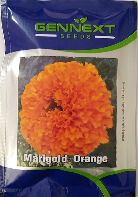 Marigold Orange- Gennest Seeds