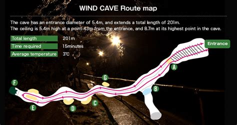 Image result for Wind Cave EFT Machine