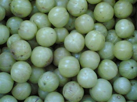 Sailu's Food - Indian Food | Andhra Recipes | Herbs - Spices| Ayurveda ...