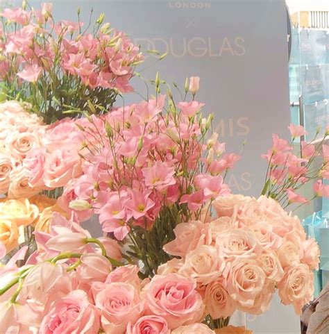 Odlični noviteti Elemis kozmetike: Pro-Collagen Rose Marine – Ljepota