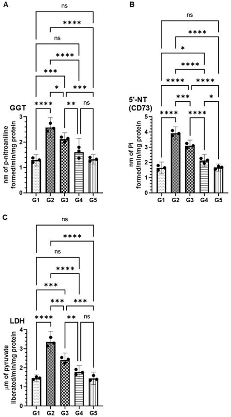 Preclinical and Molecular Docking Insights into the Chemopreventive ...