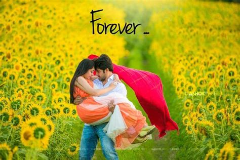 In a Field of Happiness – Shopzters