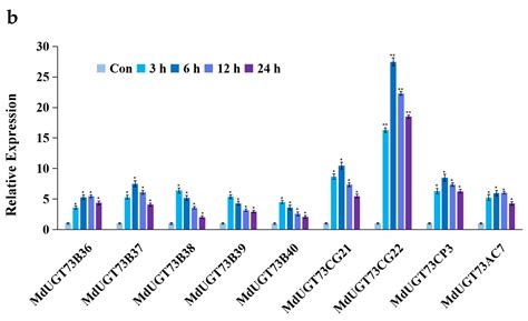 First Clarification of the Involvement of Glycosyltransferase ...