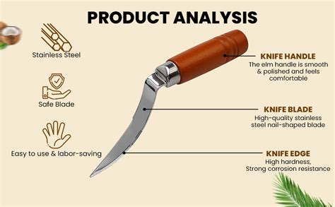 Homeaura Coconut/Nariyal Tool Coconut Meat Remover | Durable Wooden ...