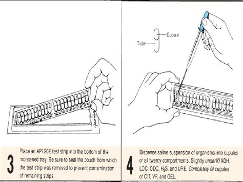 Image result for API Reagent Kit
