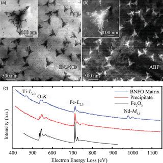 Stem OBF 的图像结果