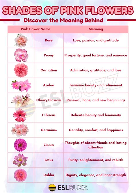 Beautiful Flower Names And Meanings 50 Flowers That Start With P: