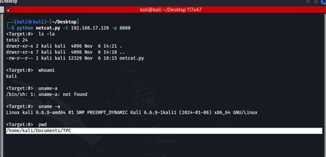 Image result for Python Programming in NetShell