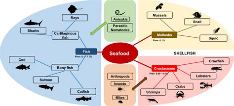 Seafood Allergy Types at Richard Jett blog