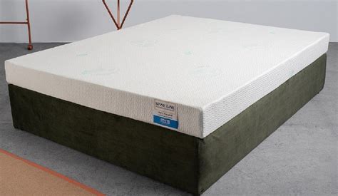Best Orthopedic Mattress - Spineline - (100% Natural Latex) + Mattress ...