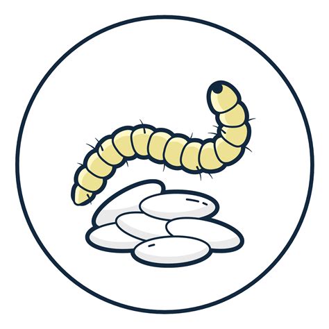 Can Humans Get Fleas From Dogs: 5 Signs of Fleas - PetFriendly Box