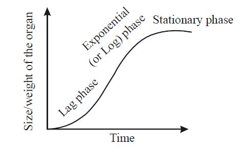 Select the incorrect statement among the following.