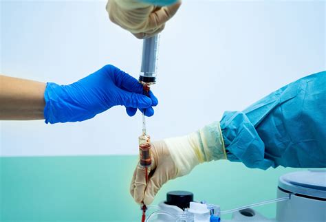 Bone marrow: types, functions and health tips | Northwell Health