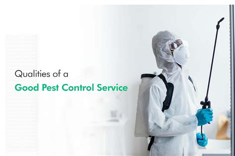 Pest India – your all pest control at one stop