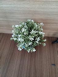 Buy PAPERI Artificial Thyme Plant for Home Décor – Living Room ...