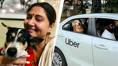 Swastika Mukherjee calls out Uber: When 'pet-friendly' isn’t enough ...