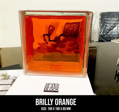 Glass Block - Brilly Ruby Glass Block Service Provider from New Delhi