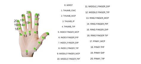 Image result for Hand Detection Python