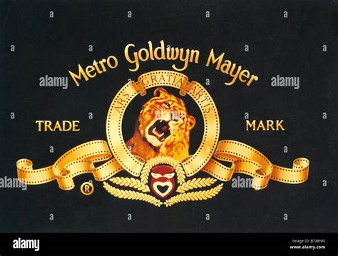 MGM Rewards | Loyalty Program | Earn Points Vector Art Vector Recipe Wallpaper Vector