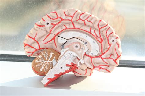 VLSI Lab 的图像结果