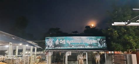 Gou Puja Seva | SDBGK