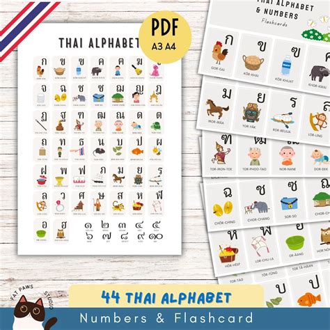 Thai Alphabet & Numbers Flashcards: Printable Learning Cards (PDF) - Etsy