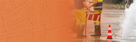 Network Management Approach for Water Utilities