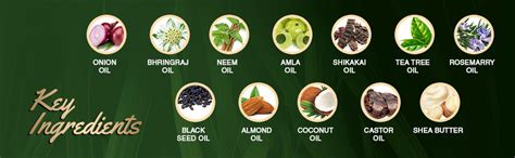 Buy Morpheme Remedies Bhringraj, Onion & Black Seed Hair Shampoo With ...