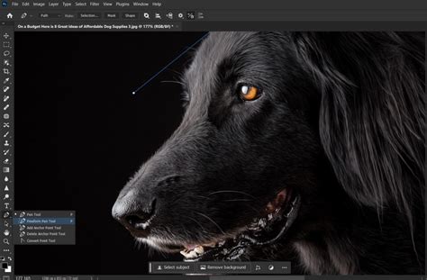 20 Must-Read Advanced Photoshop Tutorials with Cutting-Edge Feature ...