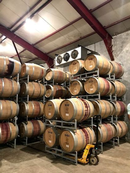 Sula Vineyard | Nashik - What to Expect | Timings | Tips - Trip Ideas ...