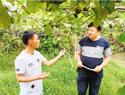 村委会拒不分配征地补偿款,村民怎么办,征地补偿款村委会不给,告谁-五六懂法网