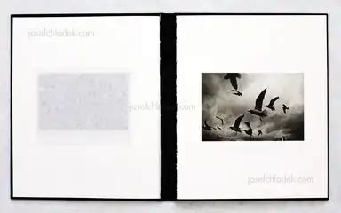 Mateusz Sarello - Swell, Instytut Kultury Wizualnej, 2013, Warsaw, book ...