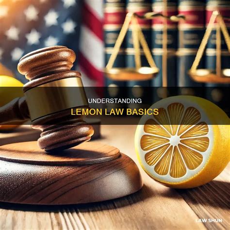 Understanding Lemon Law Basics | LawShun