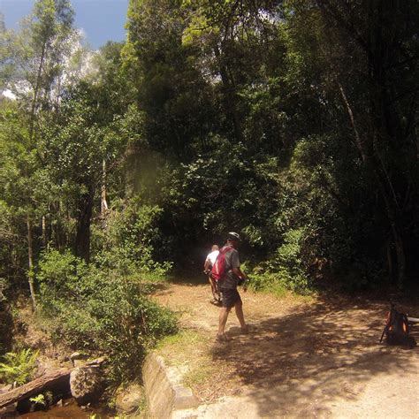 LOCAL VIEW CYCLING HOLIDAYS Guide (2026) All You Need to Know BEFORE ...